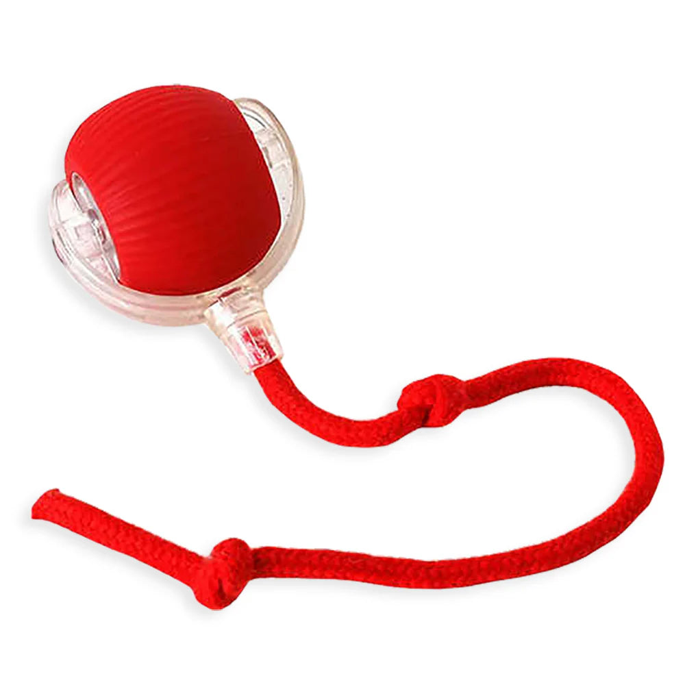 SpinBall - Interaktiv leksaksboll
