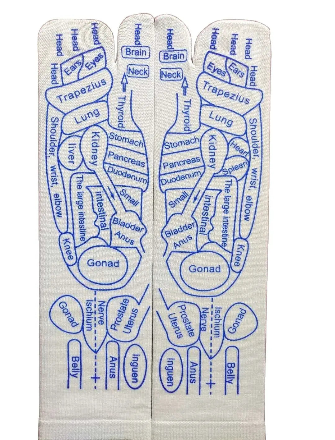 TRACE - Reflexologistrumpor med triggerpunktmassageverktyg