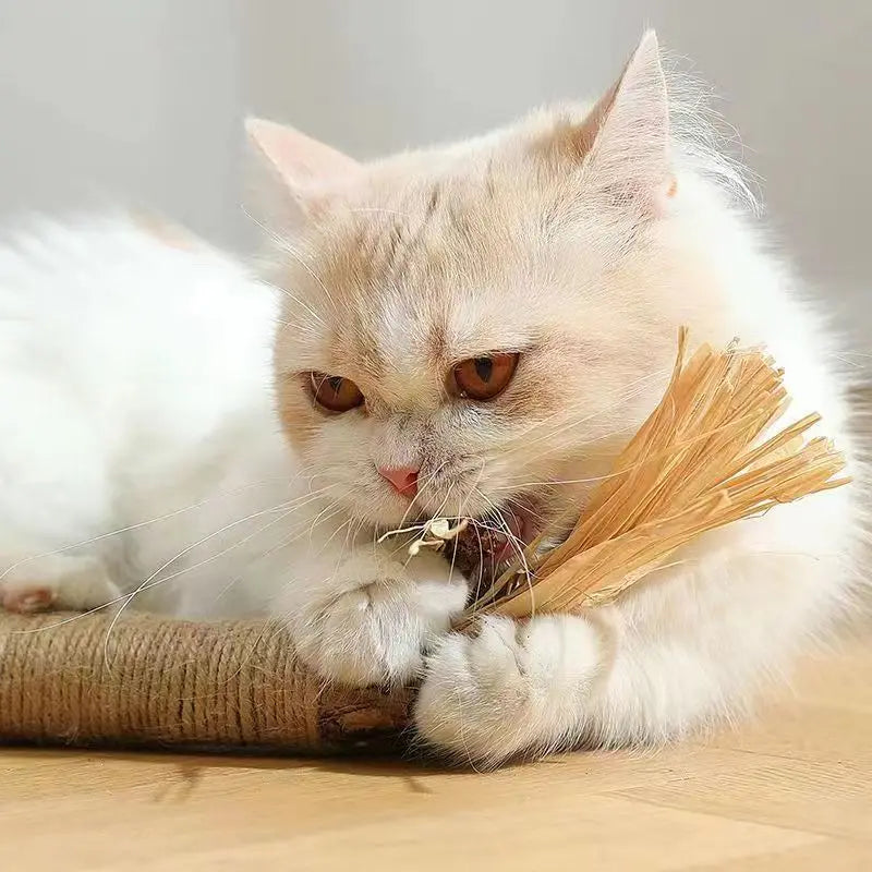 CHEWIE - Silvervinetuggpinne för katter