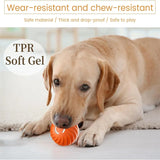 ELON - Smart hund boll